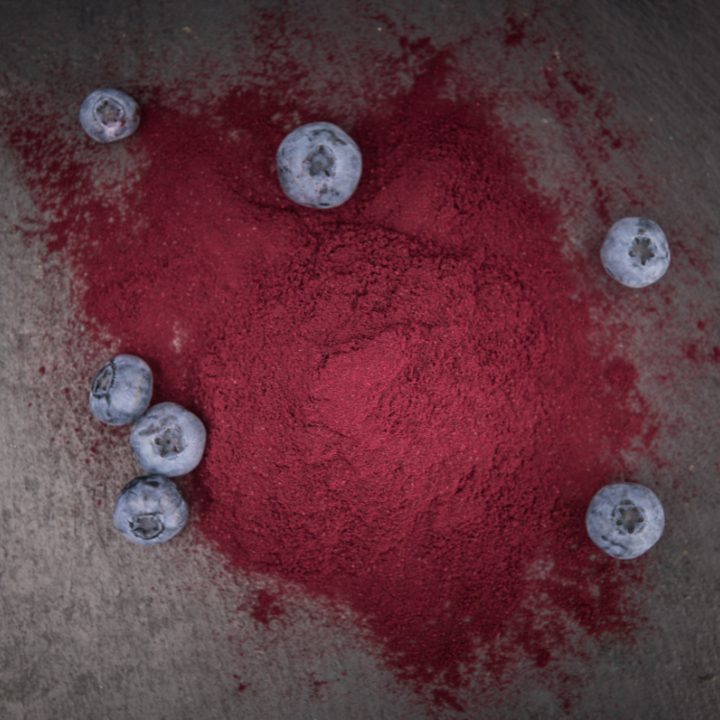 WIlde bosbessenpoeder kopen bij Morgen is Nu