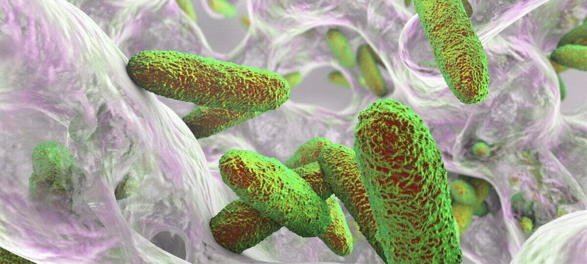 Biofilm 3d 1 , Met zorg samengesteld