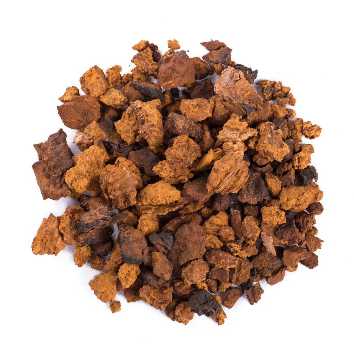 chaga poeder kopen bij morgen is nu