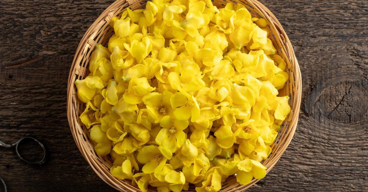 Mullein , Natuurlijke kwaliteit bij Morgen is Nu