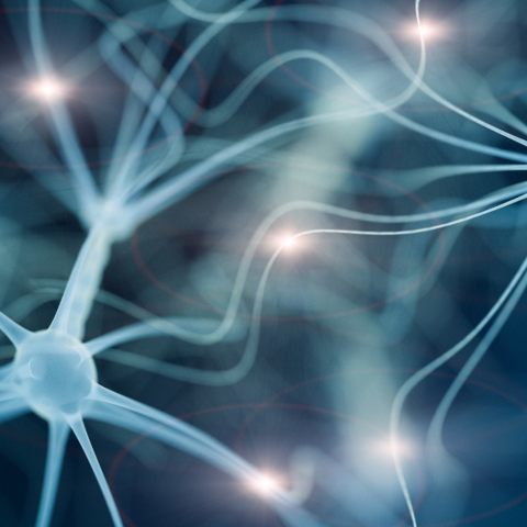 Glutathione kopen bij Morgen is Nu