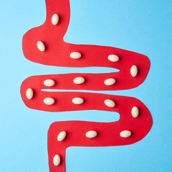 Pre en probiotica kopen? Morgen is Nu