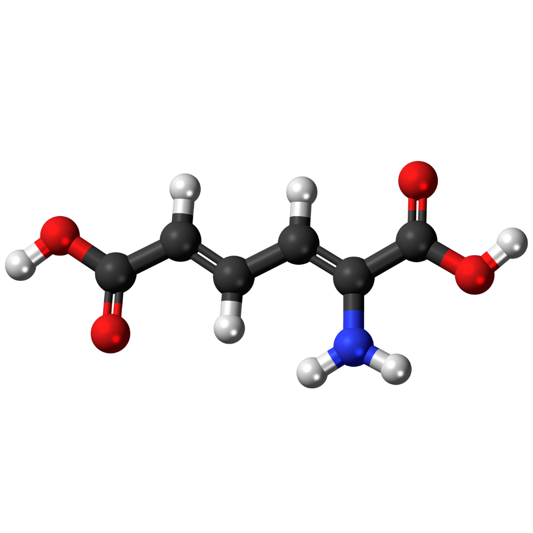 spermidine supplement bij morgen is nu