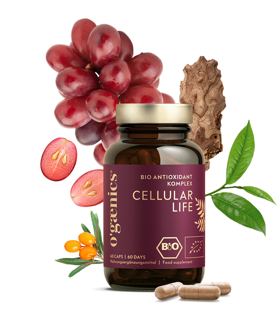 Cellular Life (Bio)