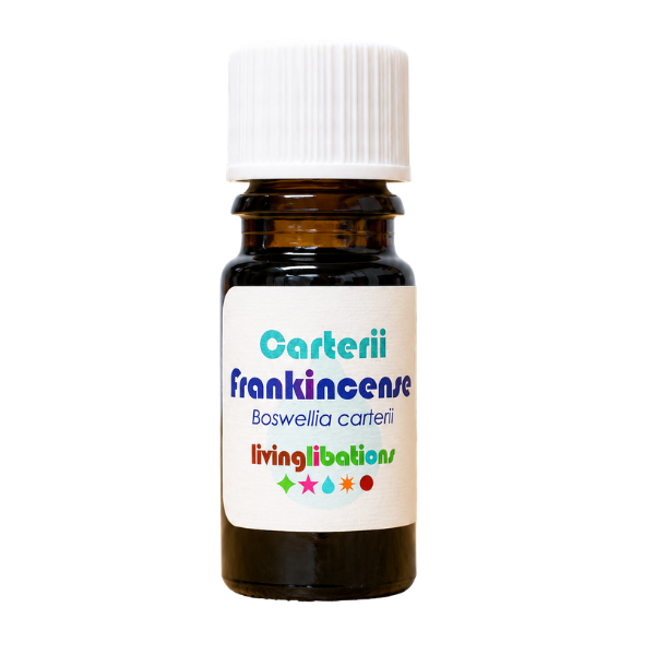 Frankincense Carterii Essential Oil - Living Libations - Morgen is Nu