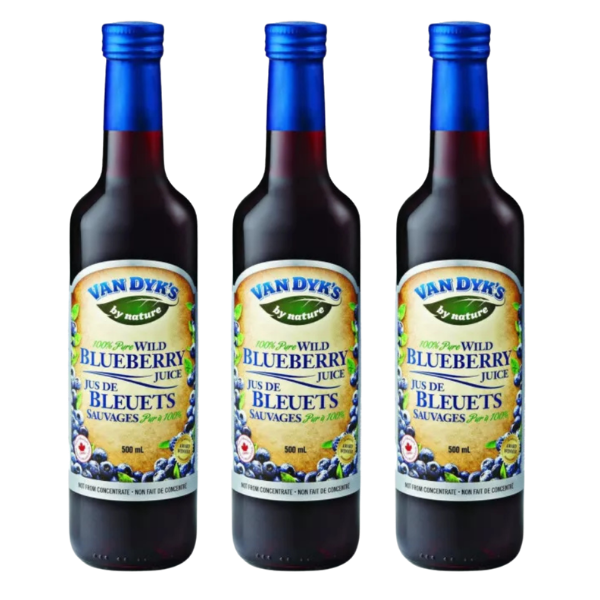 Pure Wild Blueberry Juice Bundel - 3x - Van Dyks - Morgen is Nu