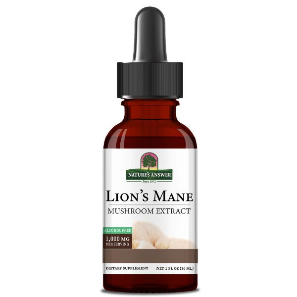 Lion's Mane - Natures Answer - Morgen is Nu