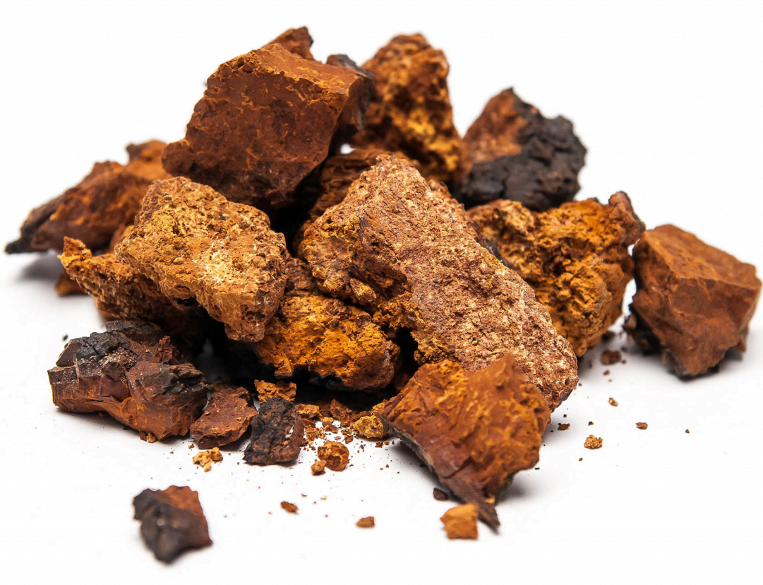 Chaga chunks 300gr morgenisnu  37522  , Puur & zorgvuldig gekozen