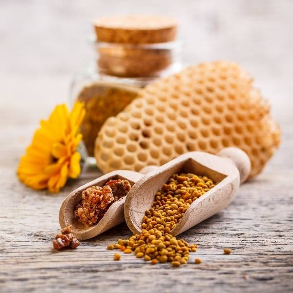 Propolis kopen bij Morgen is Nu