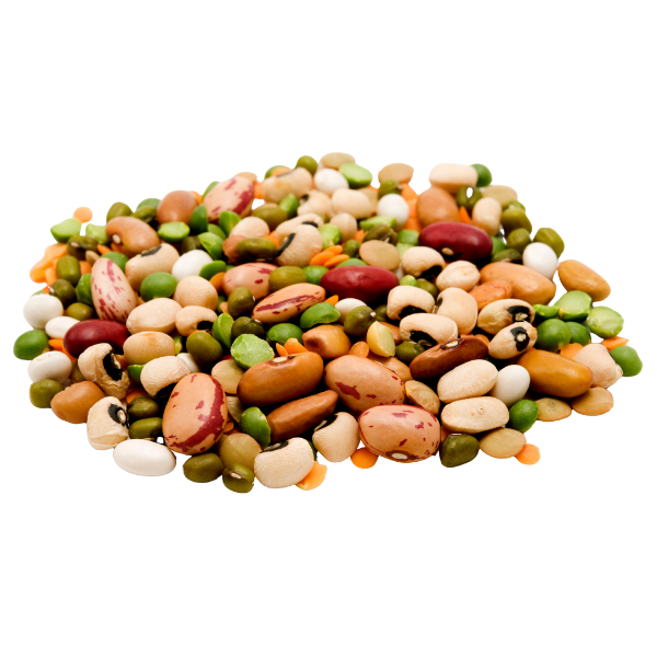 Arginine bij Morgen is Nu