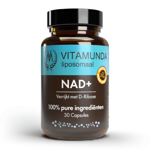 Liposomale NAD+ kopen? Morgen is Nu