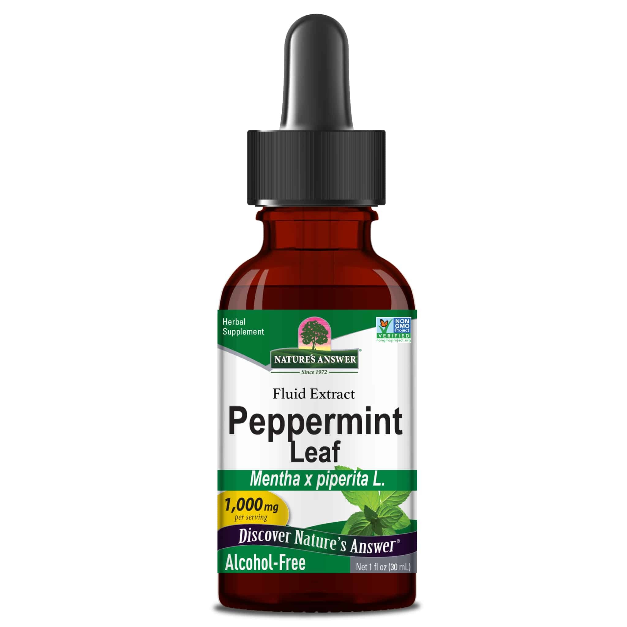 Natures answer peppermint leaf af126  1 , Zorgvuldig geselecteerd bij Morgen is Nu