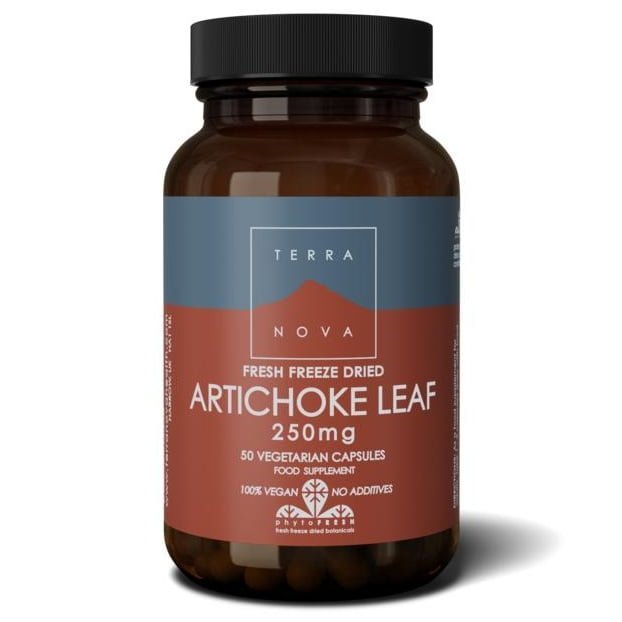 Terranova artichoke leaf 250mg  , Natuurlijke kwaliteit bij Morgen is Nu