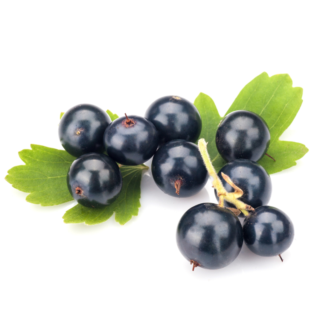 zwarte bes (blackcurrant) bij Morgen is Nu