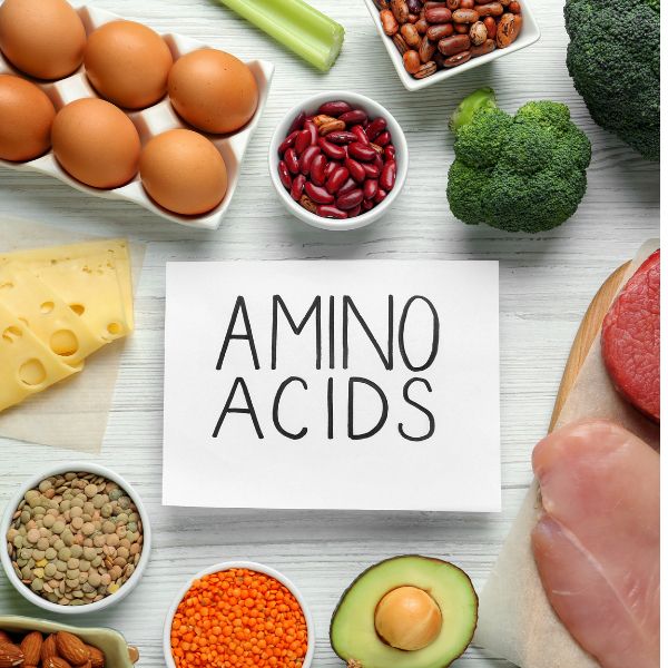 Aminozuren kopen Morgen is nu