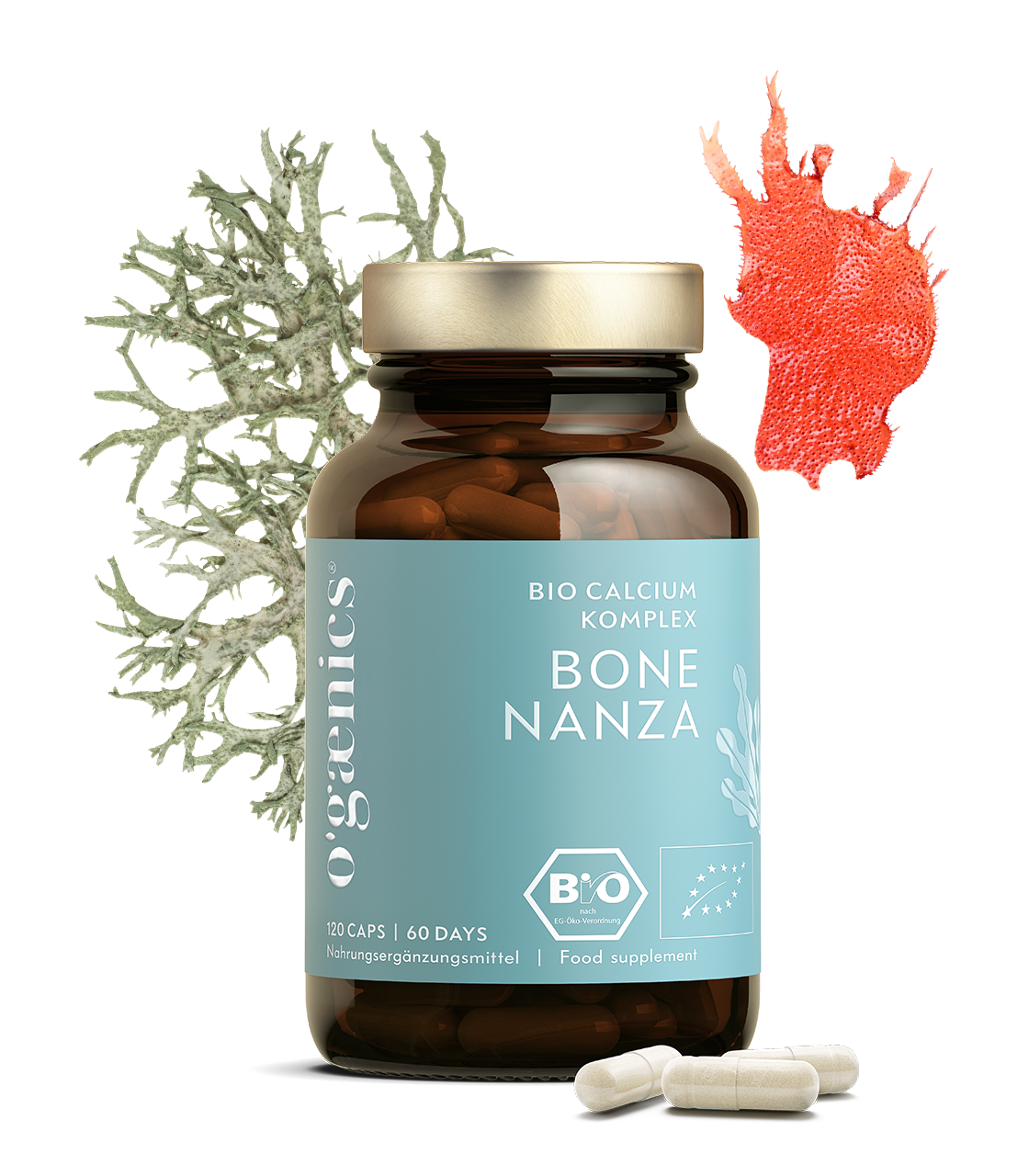 Bone Nanza (Bio)