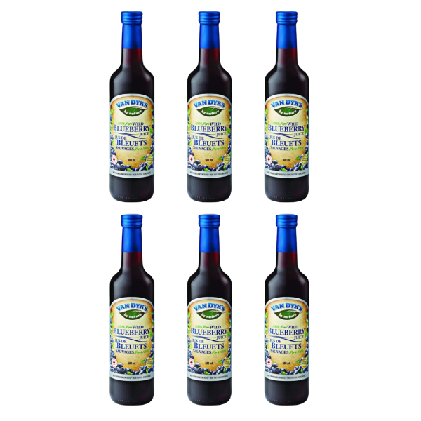 Pure Wild Blueberry Juice Bundel - 6x - Van Dyks - Morgen is Nu
