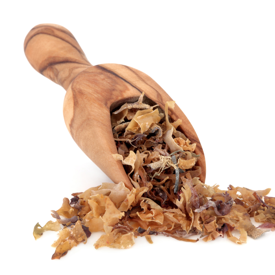 Irish Sea Moss kopen