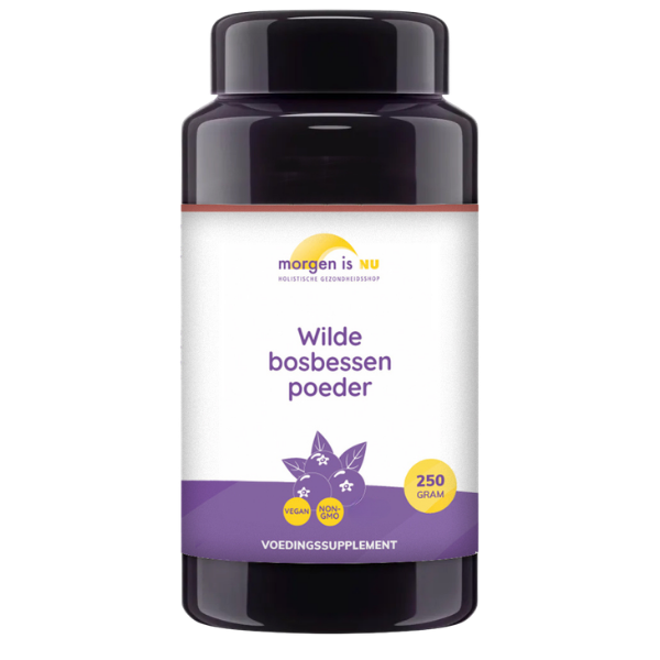 Wilde Bosbessenpoeder - Morgen is Nu - Canadese Bosbes (Vaccinium angustifolium)