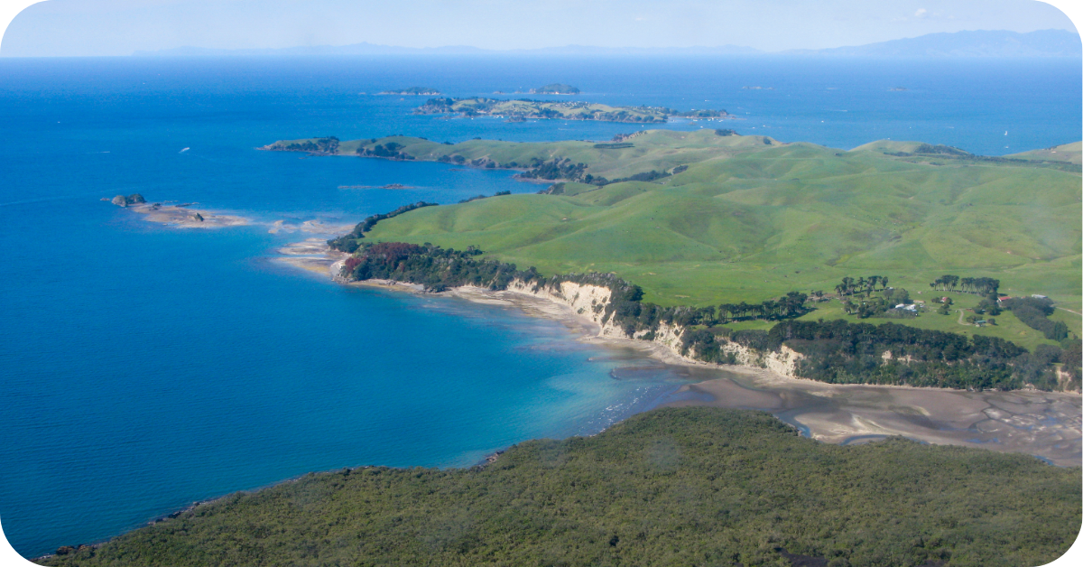 Atlantische Dulse - Morgen is Nu