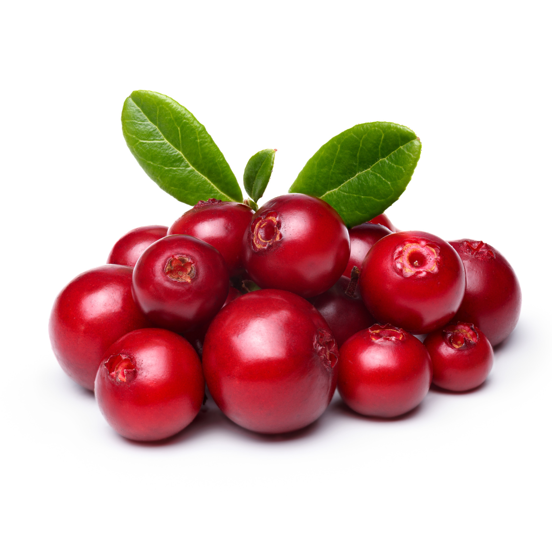 lingonberry bij morgen is nu