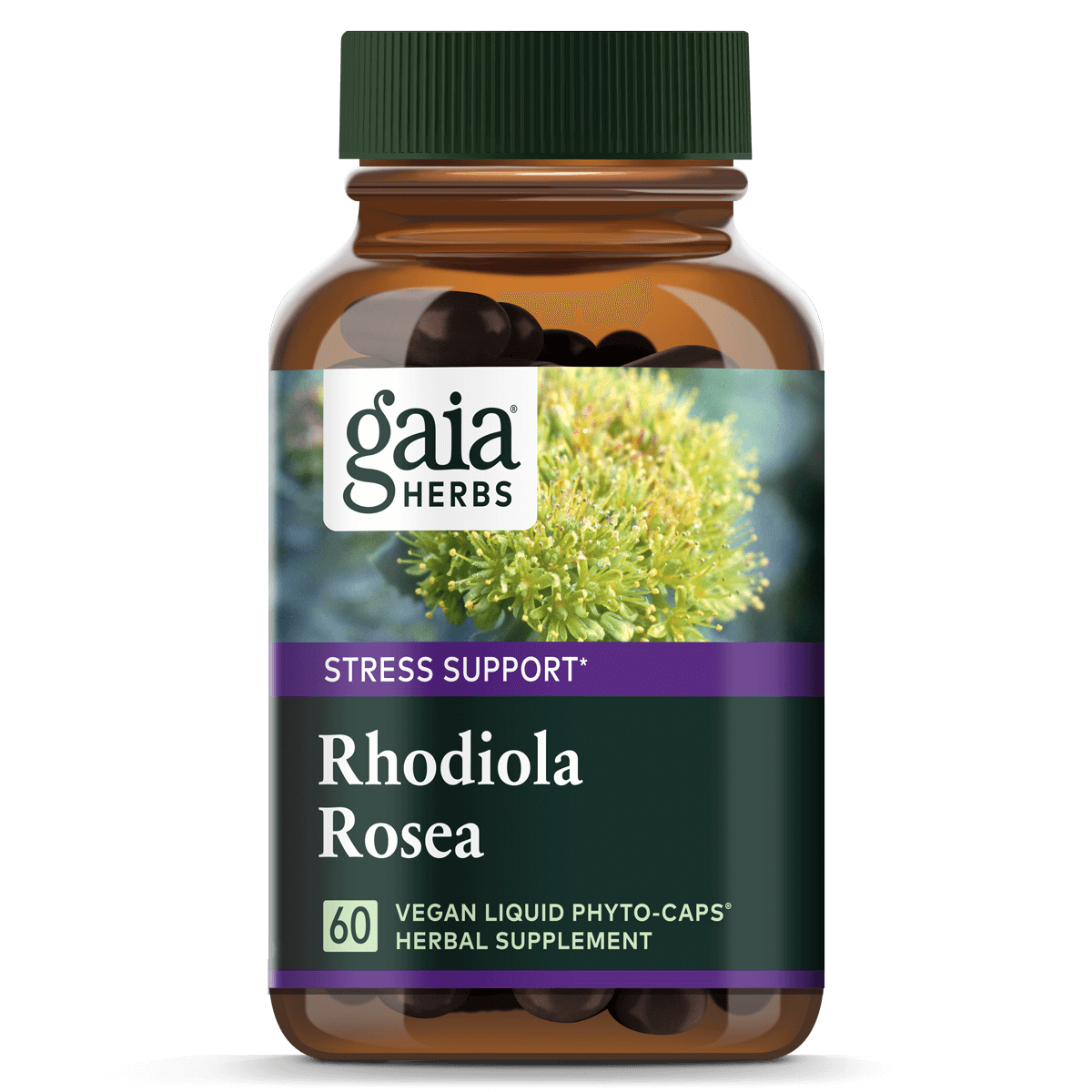 Gaia herbs rhodiola rosea 60bottle , Speciaal geselecteerd voor jou
