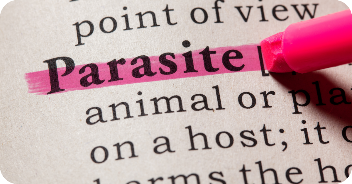 Parasite cleanse: uitleg, toepassing en advies - Morgen is Nu