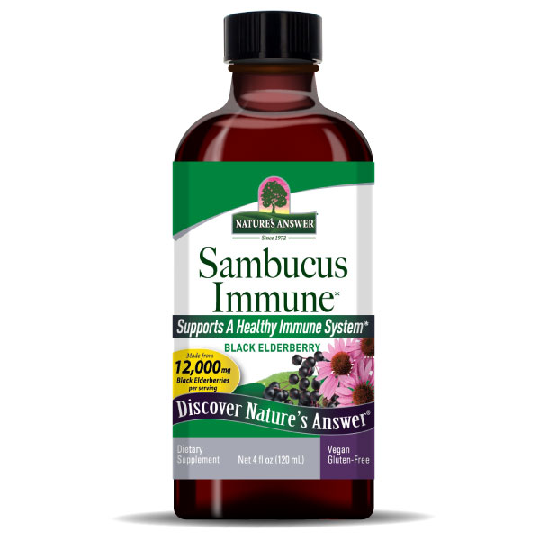 Sambucus (Schwarzer Holunder)