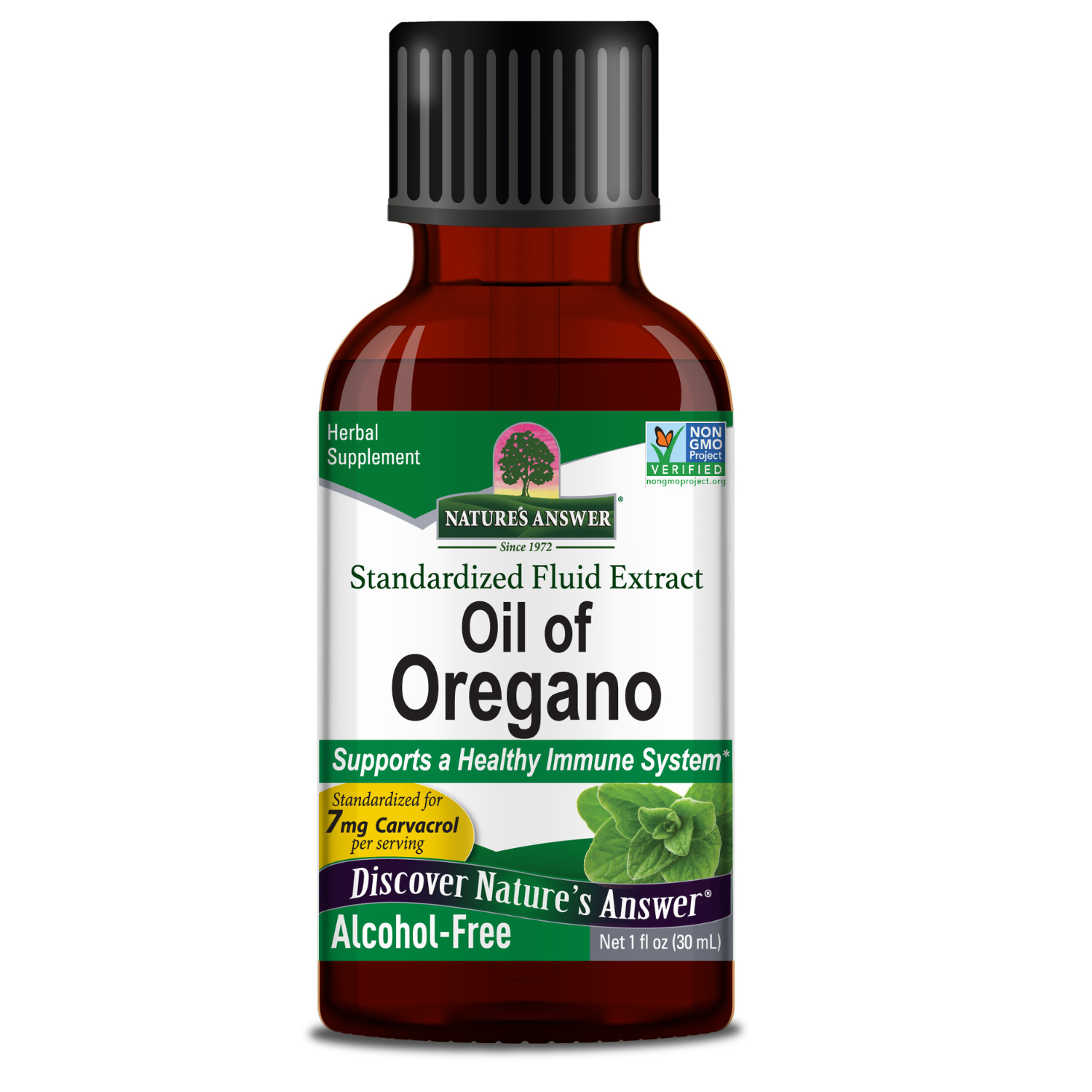 Oil of Oregano