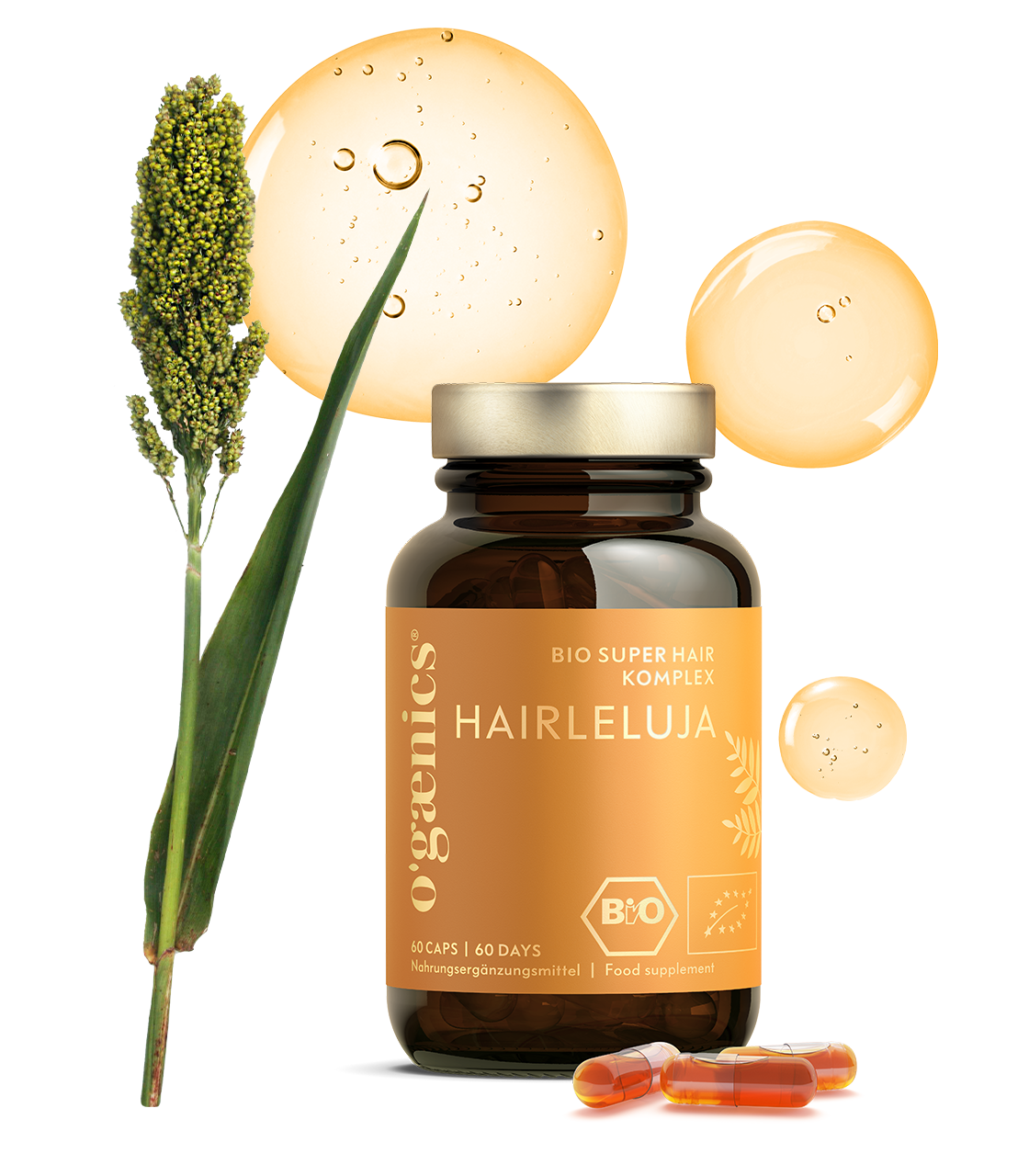 Hairleluja (Bio)