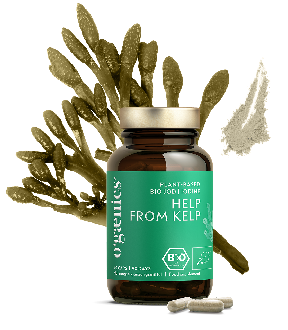 Help From Kelp (Bio)