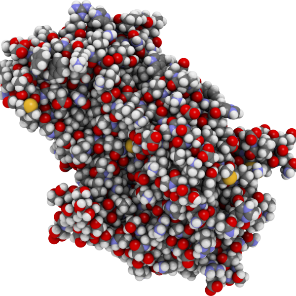 Alfagalactosidase kopen bij Morgen is Nu