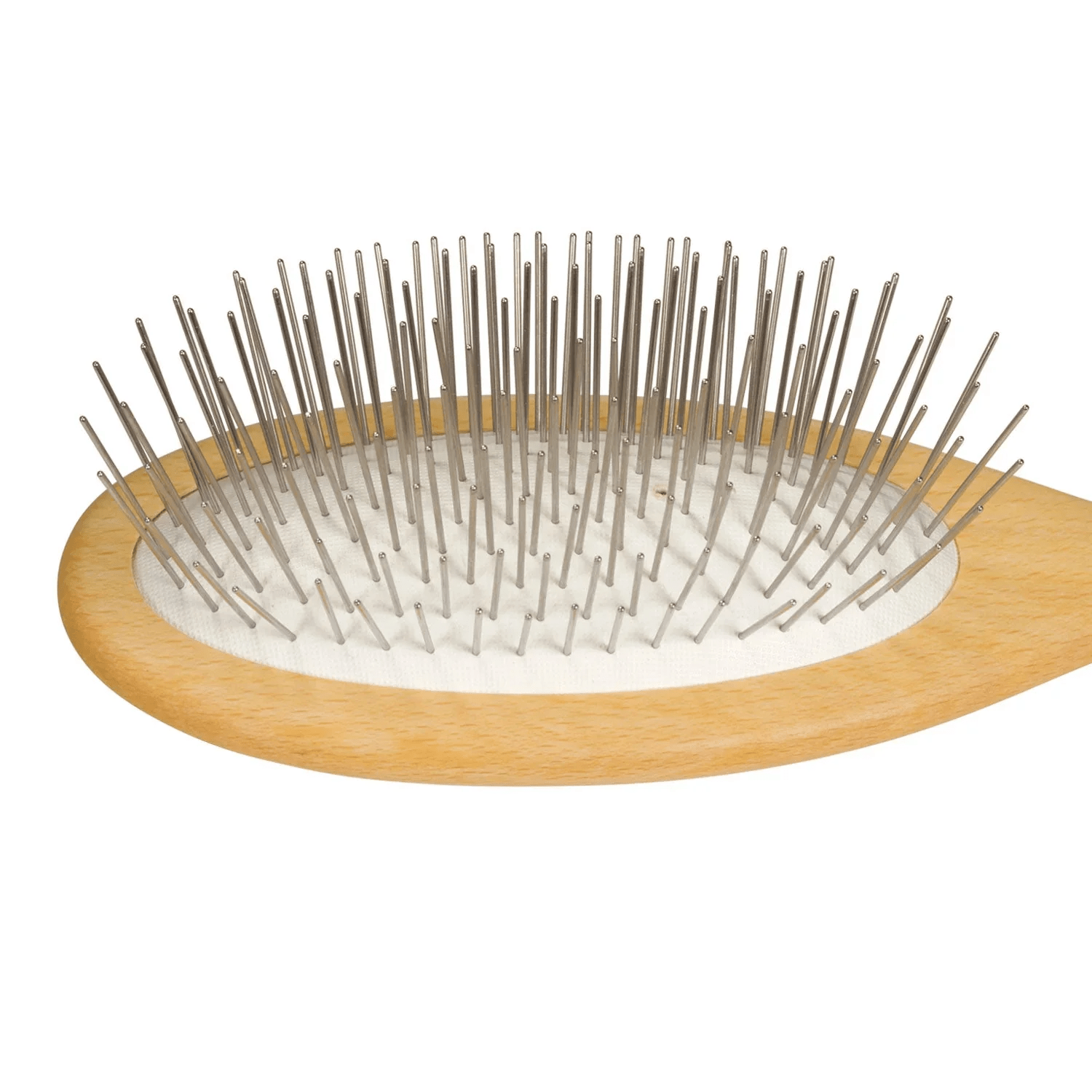 Beechwood brush living libations close up , Hoogwaardige natuurlijke producten