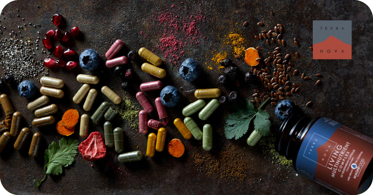 Terranova bij Morgen is Nu