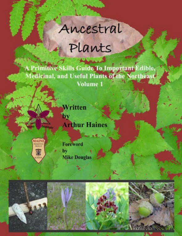 Ancestral plants  63960 , Ontdek de kracht van pure ingredi?nten