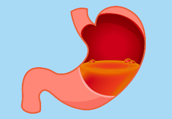 Feiten fabels maagzuur 1 , Hoogwaardige natuurlijke producten