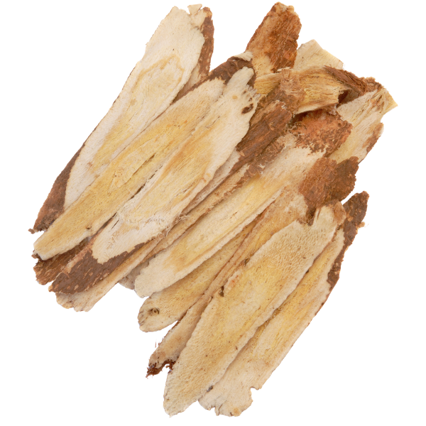 Astragalus kopen bij Morgen is Nu