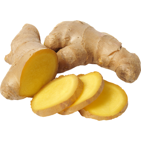 Gember extract kopen bij morgen is nu