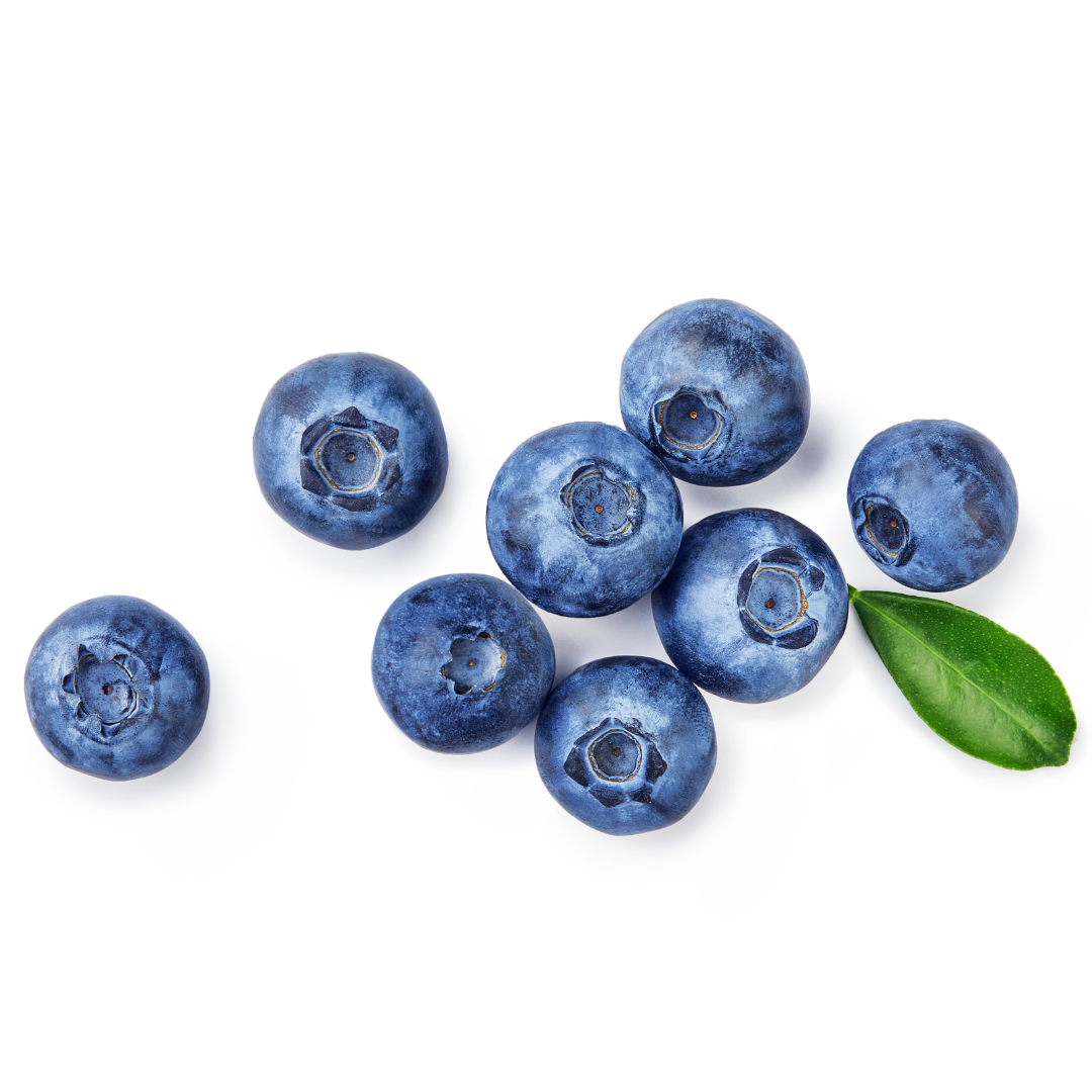 blauwe bessen kopen - morgen is nu