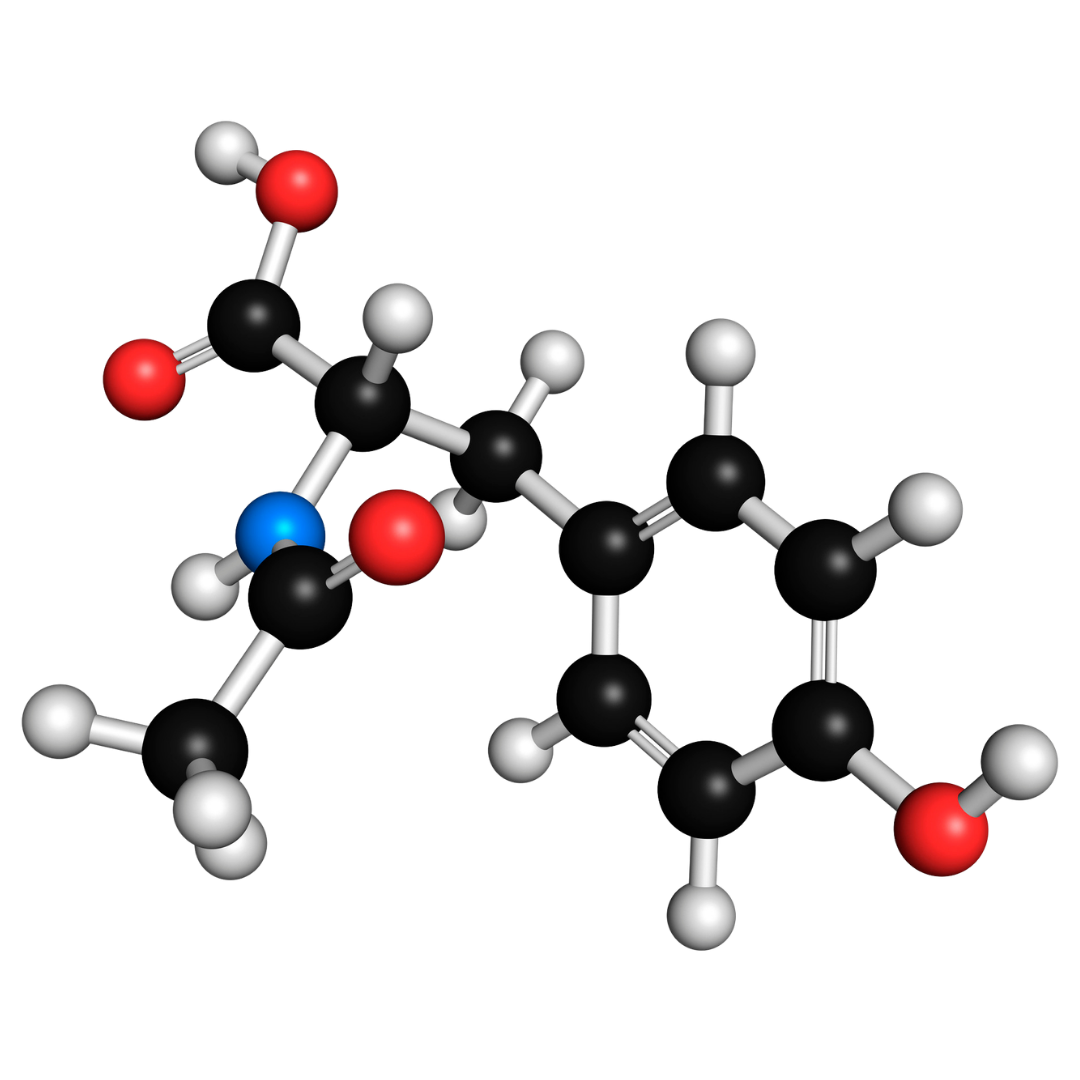 l-tyrosine kopen bij morgen is nu
