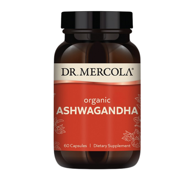 Ashwaganda van Dr Mercola kopen | Morgen is Nu