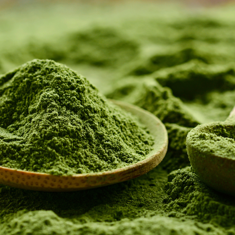 Marine Phytoplankton kopen