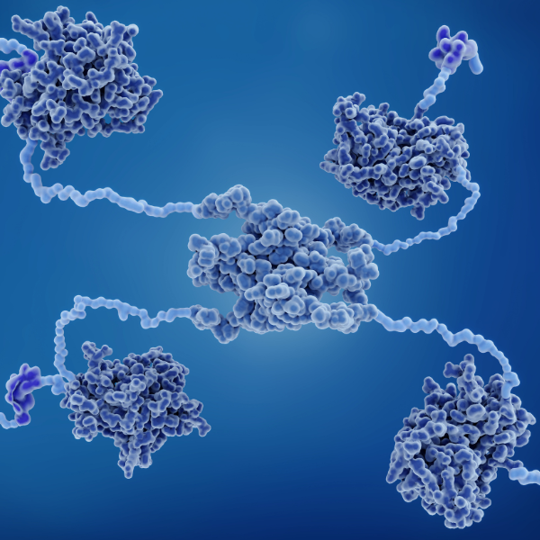 Lipase bij Morgen is Nu
