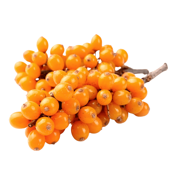 Omega 7 kopen bij  Morgen is Nu