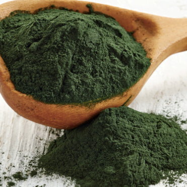 algen supplement bij morgen isnn