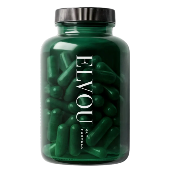 Gut Formula - Elvou - Morgen is Nu