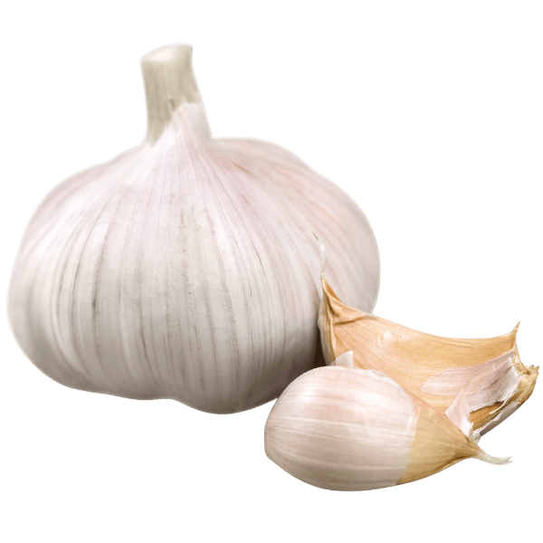 Knoflook - Morgen is Nu