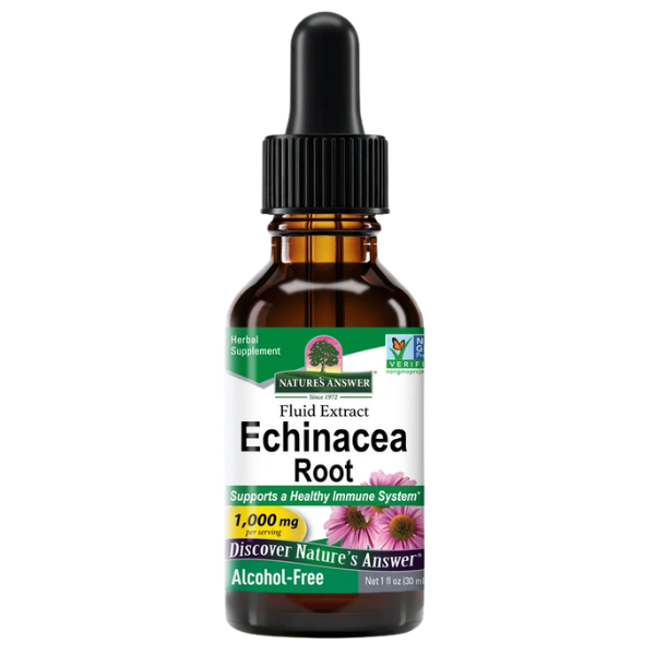 Echinacea Root - Natures Answer - Morgen is Nu