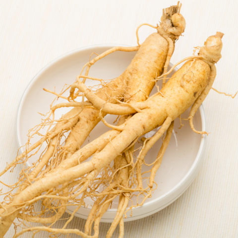 Ginseng Root - Morgen is Nu