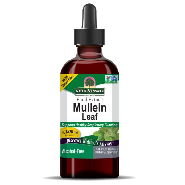 Mullein Leaf - Natures Answer - Morgen is Nu